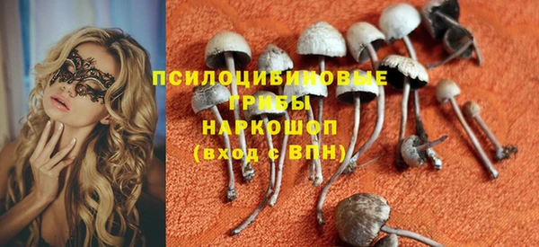 мяу мяу мука Аркадак