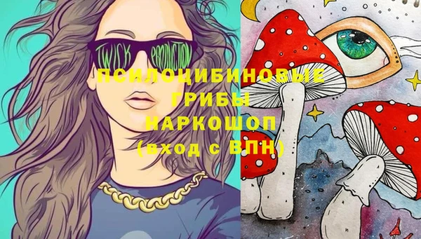 ГАЛЛЮЦИНОГЕННЫЕ ГРИБЫ Арсеньев