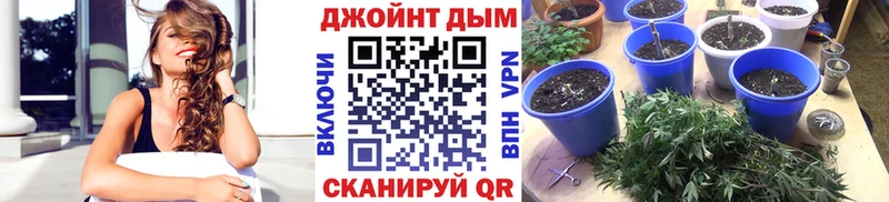 Канабис MAZAR  цены   Вяземский 